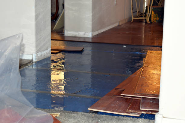 Professional Water Extraction technician working in Mexico, ME